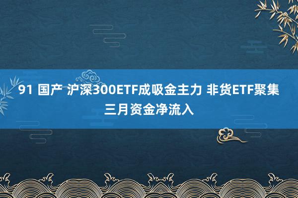 91 国产 沪深300ETF成吸金主力 非货ETF聚集三月资金净流入