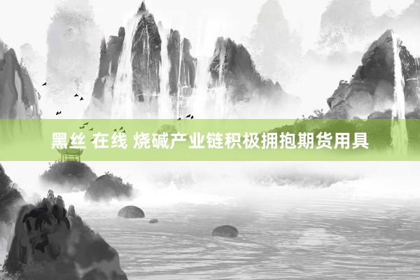 黑丝 在线 烧碱产业链积极拥抱期货用具