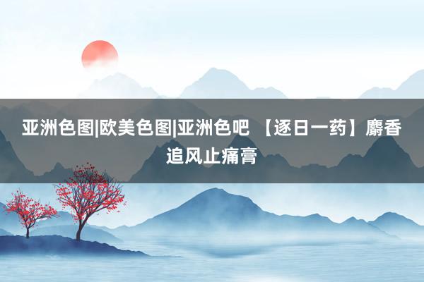 亚洲色图|欧美色图|亚洲色吧 【逐日一药】麝香追风止痛膏