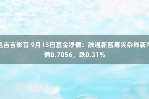 色吉吉影音 9月13日基金净值：融通新蓝筹夹杂最新净值0.7056，跌0.31%