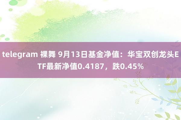 telegram 裸舞 9月13日基金净值：华宝双创龙头ETF最新净值0.4187，跌0.45%