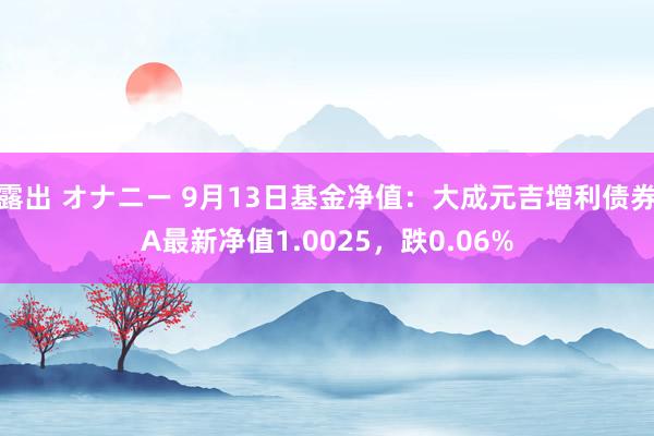 露出 オナニー 9月13日基金净值：大成元吉增利债券A最新净值1.0025，跌0.06%