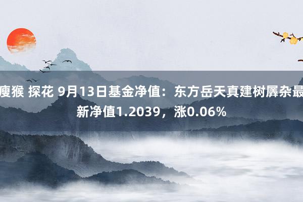 瘦猴 探花 9月13日基金净值：东方岳天真建树羼杂最新净值1.2039，涨0.06%