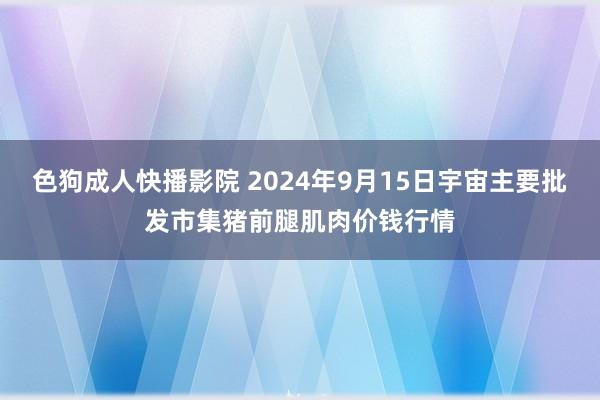 色狗成人快播影院 2024年9月15日宇宙主要批发市集猪前腿肌肉价钱行情