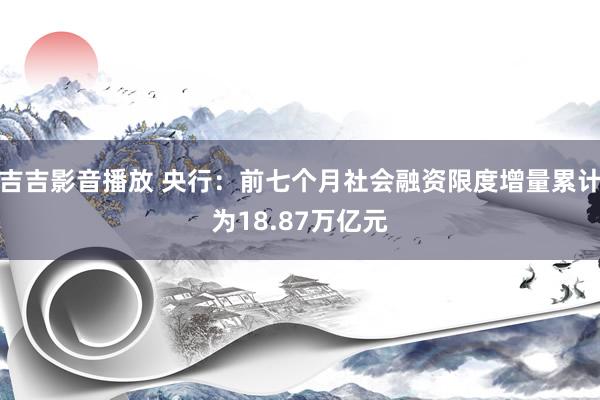 吉吉影音播放 央行：前七个月社会融资限度增量累计为18.87万亿元