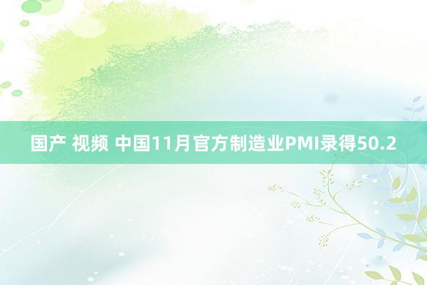 国产 视频 中国11月官方制造业PMI录得50.2