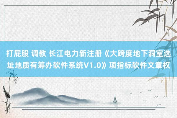 打屁股 调教 长江电力新注册《大跨度地下洞室选址地质有筹办软件系统V1.0》项指标软件文章权