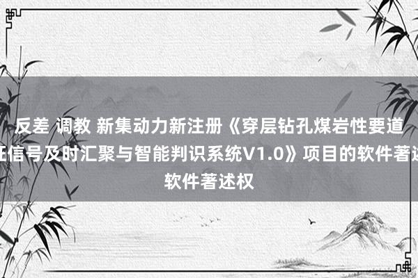 反差 调教 新集动力新注册《穿层钻孔煤岩性要道特征信号及时汇聚与智能判识系统V1.0》项目的软件著述权