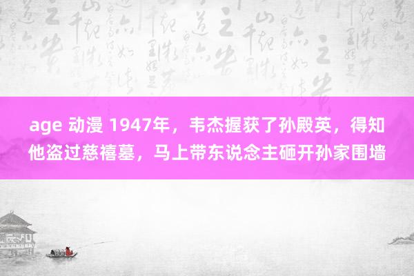 age 动漫 1947年，韦杰握获了孙殿英，得知他盗过慈禧墓，马上带东说念主砸开孙家围墙