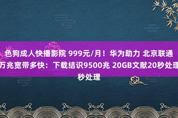 色狗成人快播影院 999元/月！华为助力 北京联通万兆宽带多快：下载结识9500兆 20GB文献20秒处理