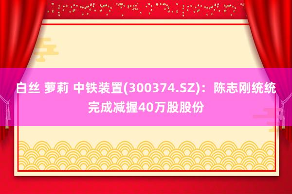 白丝 萝莉 中铁装置(300374.SZ)：陈志刚统统完成减握40万股股份