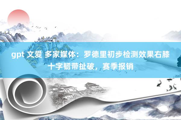 gpt 文爱 多家媒体：罗德里初步检测效果右膝十字韧带扯破，赛季报销