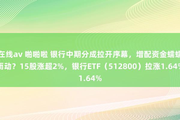 在线av 啪啪啦 银行中期分成拉开序幕，增配资金蠕蠕而动？15股涨超2%，银行ETF（512800）拉涨1.64%