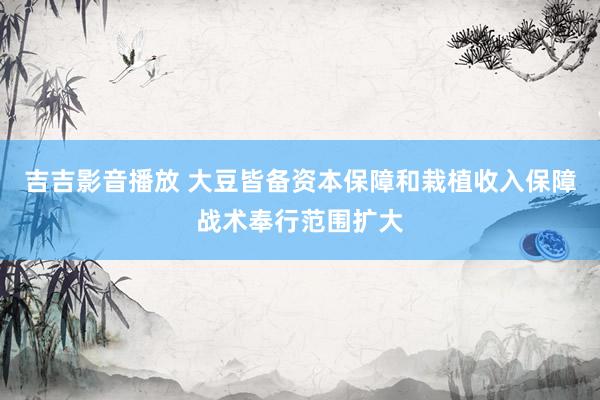 吉吉影音播放 大豆皆备资本保障和栽植收入保障战术奉行范围扩大