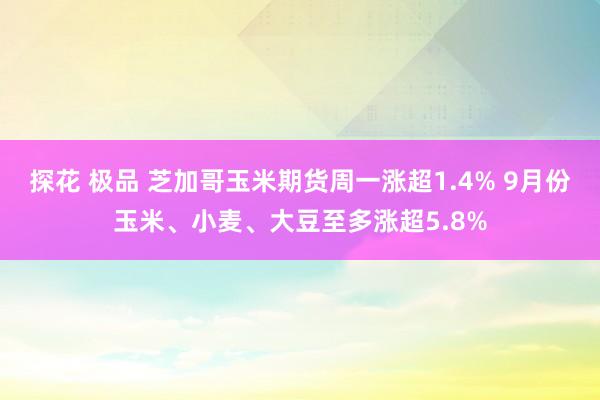 探花 极品 芝加哥玉米期货周一涨超1.4% 9月份玉米、小麦、大豆至多涨超5.8%