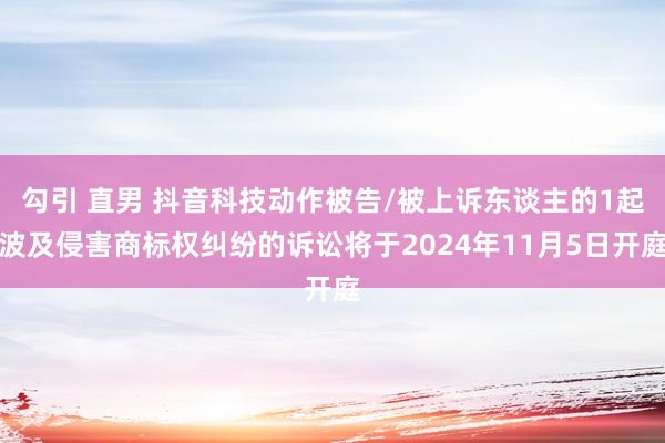 勾引 直男 抖音科技动作被告/被上诉东谈主的1起波及侵害商标权纠纷的诉讼将于2024年11月5日开庭