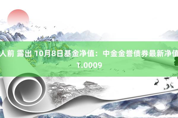 人前 露出 10月8日基金净值：中金金誉债券最新净值1.0009