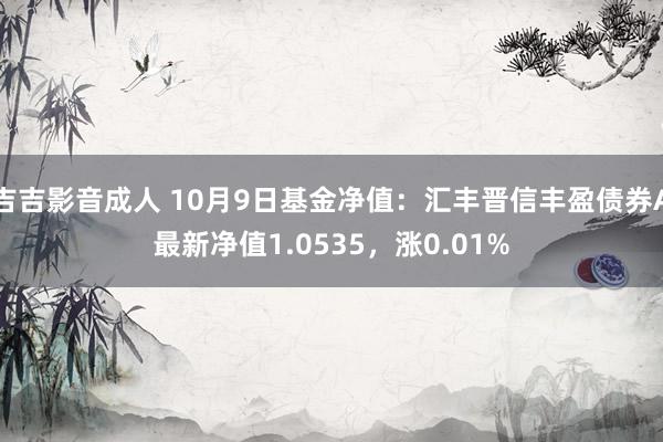 吉吉影音成人 10月9日基金净值：汇丰晋信丰盈债券A最新净值1.0535，涨0.01%