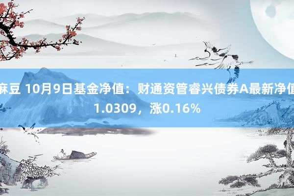 麻豆 10月9日基金净值：财通资管睿兴债券A最新净值1.0309，涨0.16%