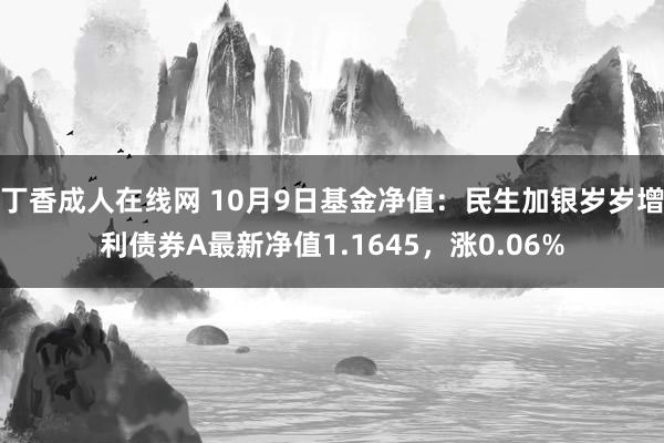 丁香成人在线网 10月9日基金净值：民生加银岁岁增利债券A最新净值1.1645，涨0.06%