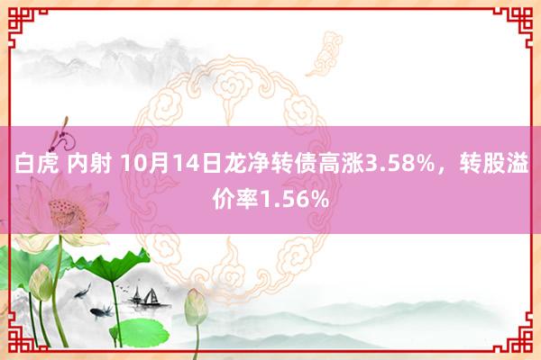 白虎 内射 10月14日龙净转债高涨3.58%，转股溢价率1.56%