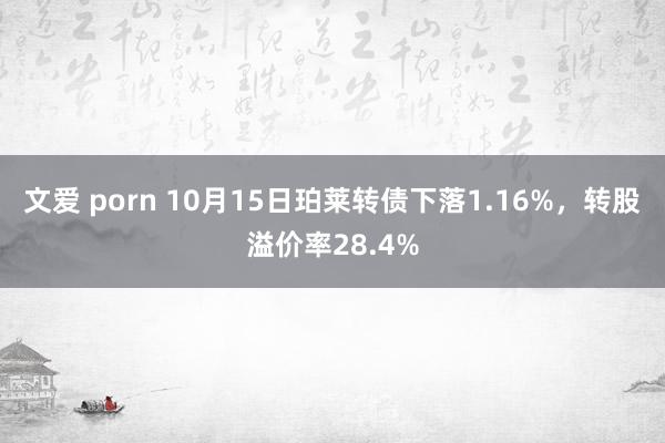 文爱 porn 10月15日珀莱转债下落1.16%，转股溢价率28.4%