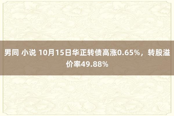 男同 小说 10月15日华正转债高涨0.65%，转股溢价率49.88%