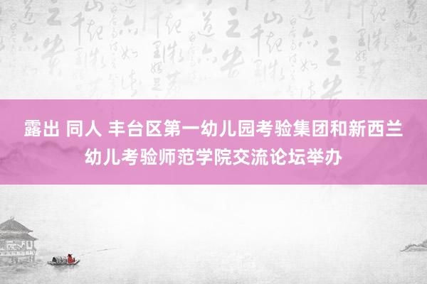 露出 同人 丰台区第一幼儿园考验集团和新西兰幼儿考验师范学院交流论坛举办