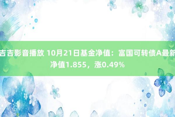 吉吉影音播放 10月21日基金净值：富国可转债A最新净值1.855，涨0.49%