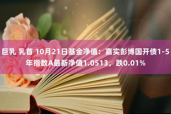 巨乳 乳首 10月21日基金净值：嘉实彭博国开债1-5年指数A最新净值1.0513，跌0.01%