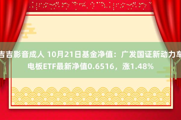 吉吉影音成人 10月21日基金净值：广发国证新动力车电板ETF最新净值0.6516，涨1.48%