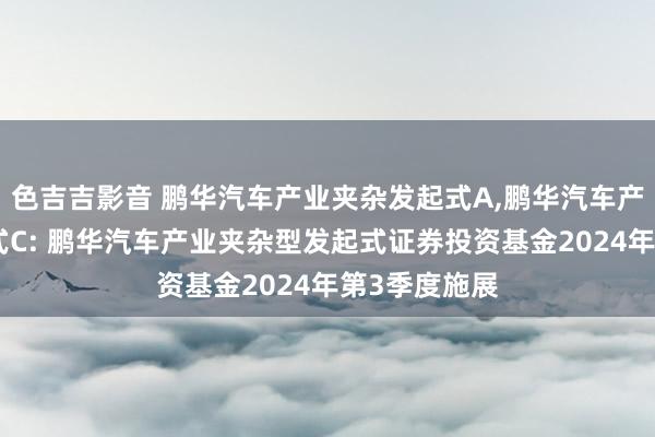 色吉吉影音 鹏华汽车产业夹杂发起式A，鹏华汽车产业夹杂发起式C: 鹏华汽车产业夹杂型发起式证券投资基金2024年第3季度施展