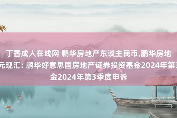 丁香成人在线网 鹏华房地产东谈主民币，鹏华房地产好意思元现汇: 鹏华好意思国房地产证券投资基金2024年第3季度申诉