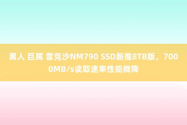 黑人 巨屌 雷克沙NM790 SSD新推8TB版，7000MB/s读取速率性能微降