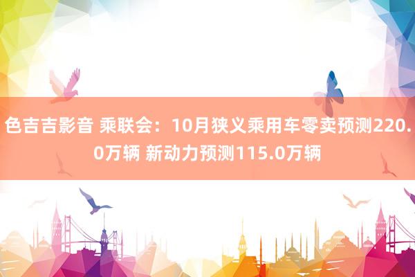 色吉吉影音 乘联会：10月狭义乘用车零卖预测220.0万辆 新动力预测115.0万辆