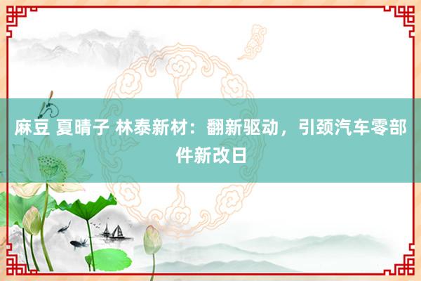 麻豆 夏晴子 林泰新材：翻新驱动，引颈汽车零部件新改日