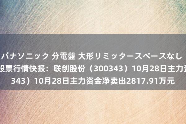 パナソニック 分電盤 大形リミッタースペースなし 露出・半埋込両用形 股票行情快报：联创股份（300343）10月28日主力资金净卖出2817.91万元