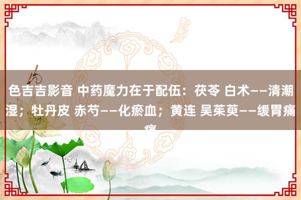 色吉吉影音 中药魔力在于配伍：茯苓 白术——清潮湿；牡丹皮 赤芍——化瘀血；黄连 吴茱萸——缓胃痛