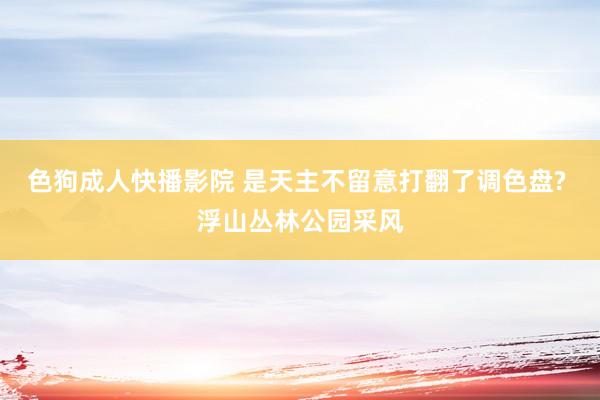 色狗成人快播影院 是天主不留意打翻了调色盘? 浮山丛林公园采风