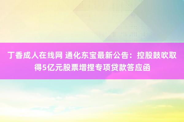 丁香成人在线网 通化东宝最新公告：控股鼓吹取得5亿元股票增捏专项贷款答应函