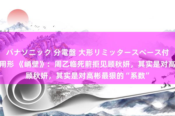 パナソニック 分電盤 大形リミッタースペース付 露出・半埋込両用形 《峭壁》：周乙临死前拒见顾秋妍，其实是对高彬最狠的“系数”