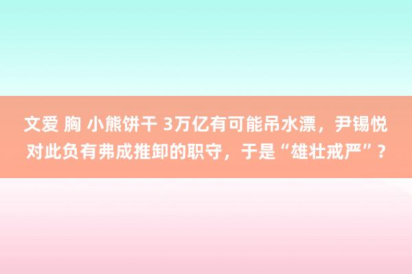 文爱 胸 小熊饼干 3万亿有可能吊水漂，尹锡悦对此负有弗成推卸的职守，于是“雄壮戒严”？