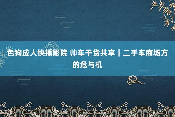 色狗成人快播影院 帅车干货共享｜二手车商场方的危与机