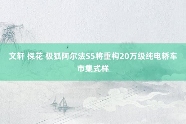 文轩 探花 极狐阿尔法S5将重构20万级纯电轿车市集式样