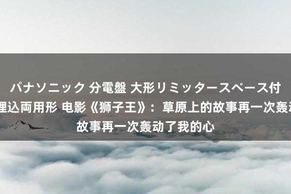 パナソニック 分電盤 大形リミッタースペース付 露出・半埋込両用形 电影《狮子王》：草原上的故事再一次轰动了我的心