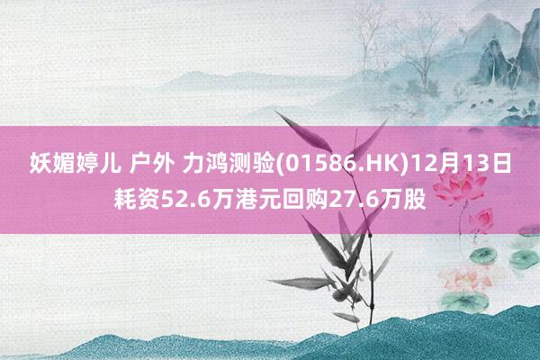 妖媚婷儿 户外 力鸿测验(01586.HK)12月13日耗资52.6万港元回购27.6万股