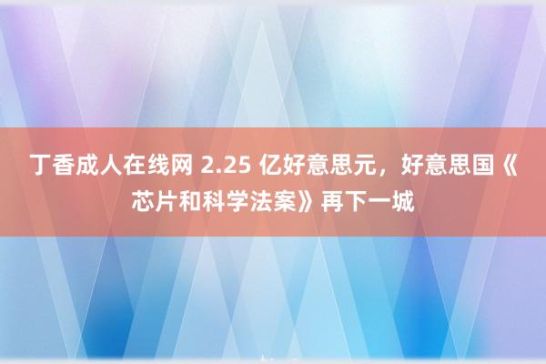 丁香成人在线网 2.25 亿好意思元，好意思国《芯片和科学法案》再下一城