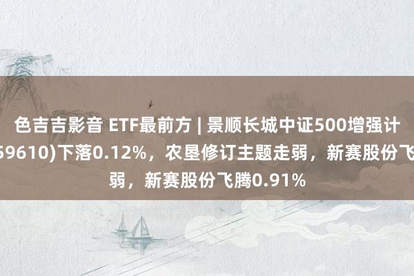 色吉吉影音 ETF最前方 | 景顺长城中证500增强计谋ETF(159610)下落0.12%，农垦修订主题走弱，新赛股份飞腾0.91%