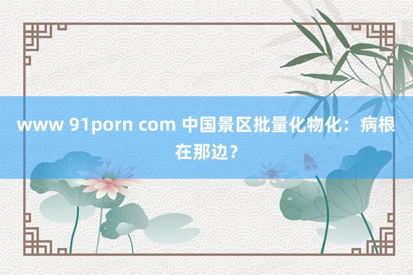 www 91porn com 中国景区批量化物化：病根在那边？