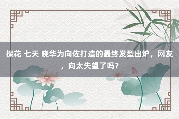 探花 七天 晓华为向佐打造的最终发型出炉，网友，向太失望了吗？